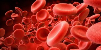 انواع سلول های خونی - پرستاری - پرستاری - پلاسمای خون - پزشکی