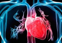 روماتیسم قلبی - پزشکی -  تب روماتیسمی
