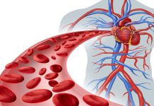 پاکسازی عروق خونی با طب سنتی - پزشکی - کادر درمان - رگ های قلب