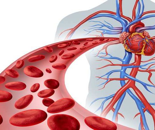 پاکسازی عروق خونی با طب سنتی - پزشکی - کادر درمان - رگ های قلب
