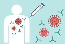  نقش آنتی بادی-پادتن- در حفاظت بدن علیه ویروسها