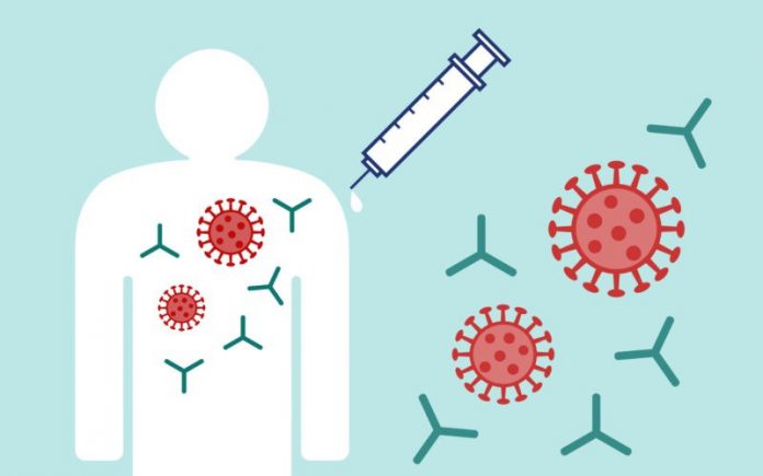  نقش آنتی بادی-پادتن- در حفاظت بدن علیه ویروسها
