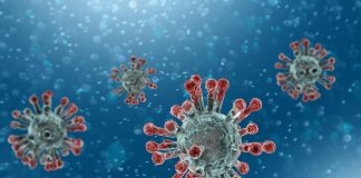 ویروس اپشتین بار-(EBV)-لنفوسیت -سرطان خون-رادیوتراپی-پرتودرمانی-عفونت-بزرگی طحال