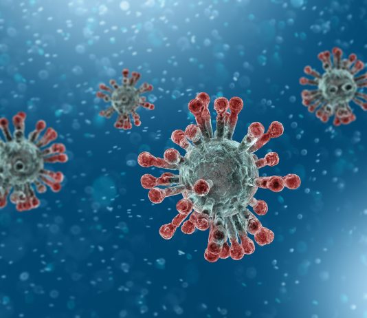 ویروس اپشتین بار-(EBV)-لنفوسیت -سرطان خون-رادیوتراپی-پرتودرمانی-عفونت-بزرگی طحال